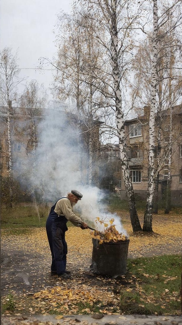 Обложка: Из комнаты моей.