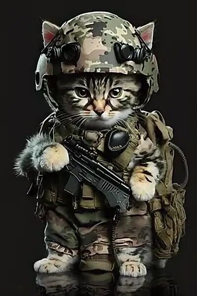 Позывной "КОТ"